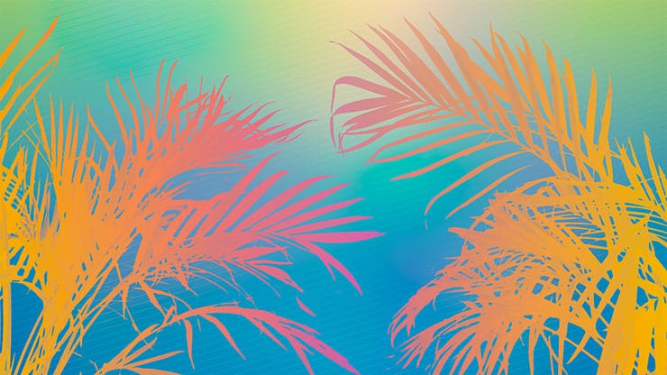 Sun Palms Collection: 6