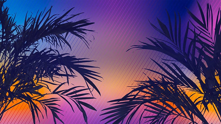 Sun Palms Collection: 7