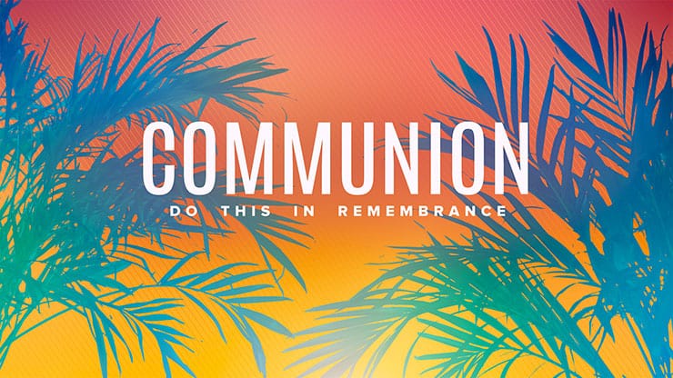 Sun Palms Collection: Communion
