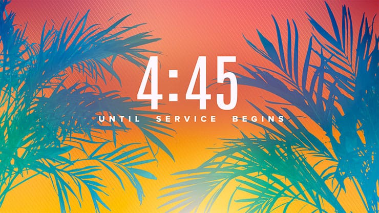 Sun Palms Collection: Countdown