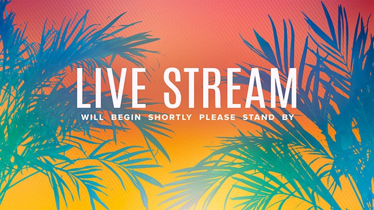 Sun Palms Collection: Live Stream