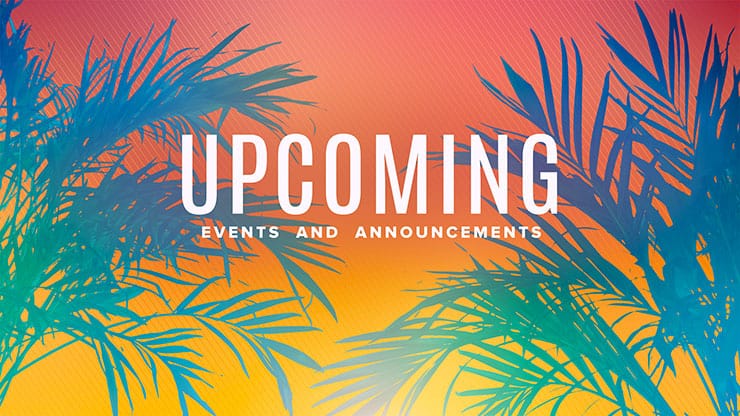 Sun Palms Collection: Upcoming