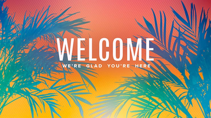 Sun Palms Collection: Welcome