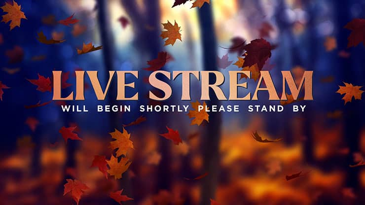 Fall Woods: Live Stream Motion