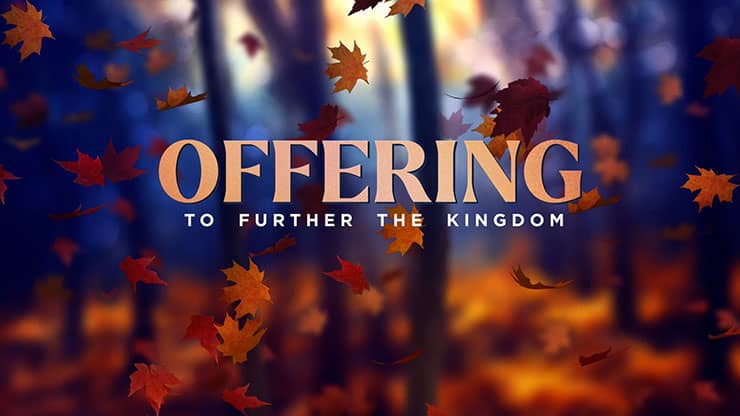 Fall Woods: Offering Motion