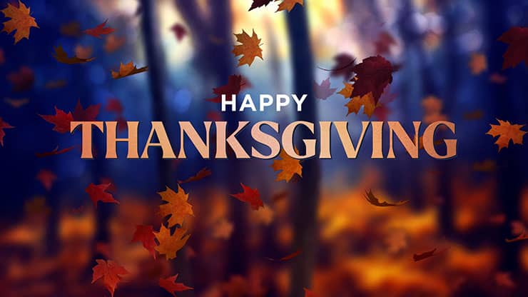 Fall Woods: Thanksgiving Motion