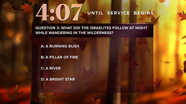 Fall Woods: Trivia Countdown