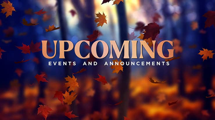 Fall Woods: Upcoming Motion