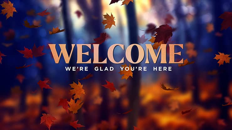 Fall Woods: Welcome Motion