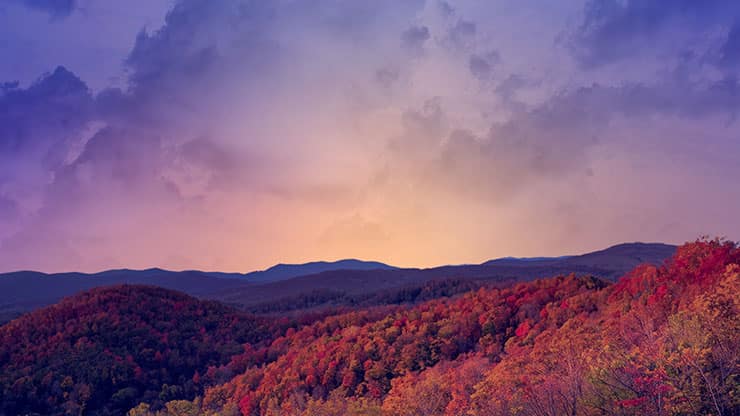 Wilderness Fall: 4