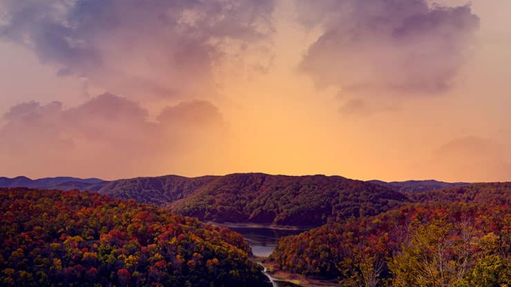 Wilderness Fall: 5