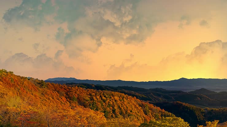 Wilderness Fall: 6