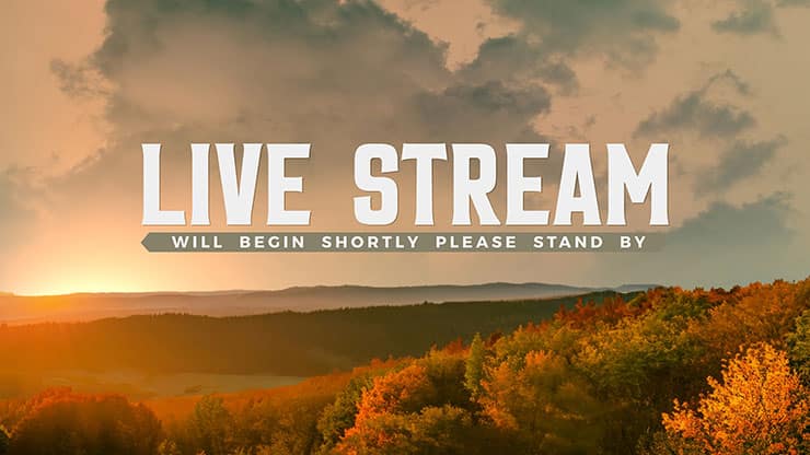 Wilderness Fall: Live Stream
