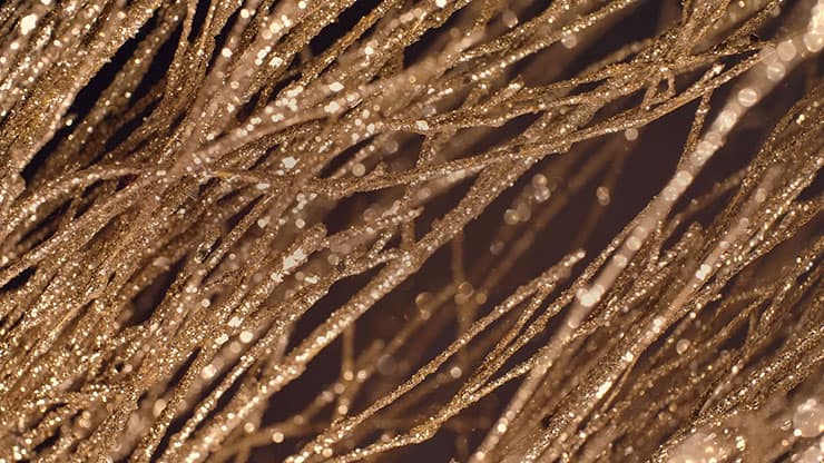 Christmas Gold 11 - Motion