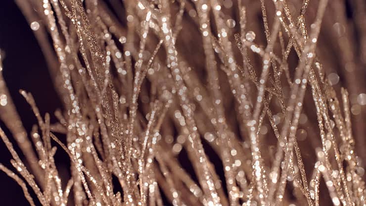 Christmas Gold 13 - Motion