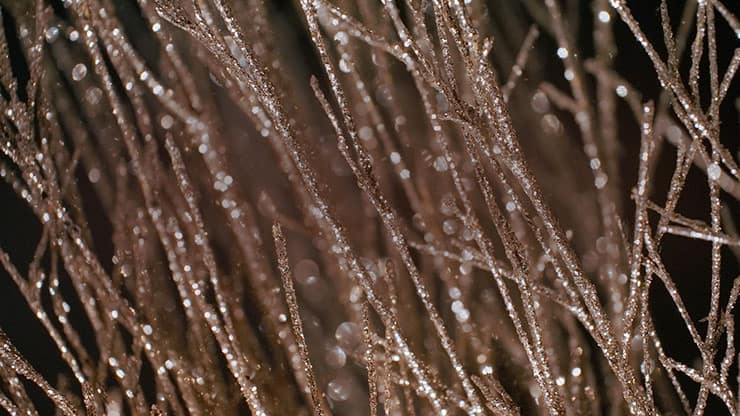 Christmas Gold 15 - Motion