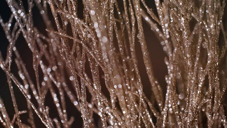 Christmas Gold 4 - Motion