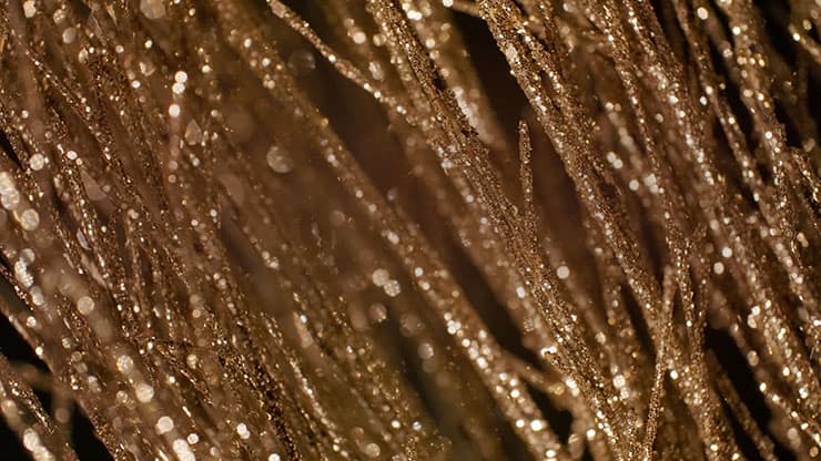 Christmas Gold 5 - Motion