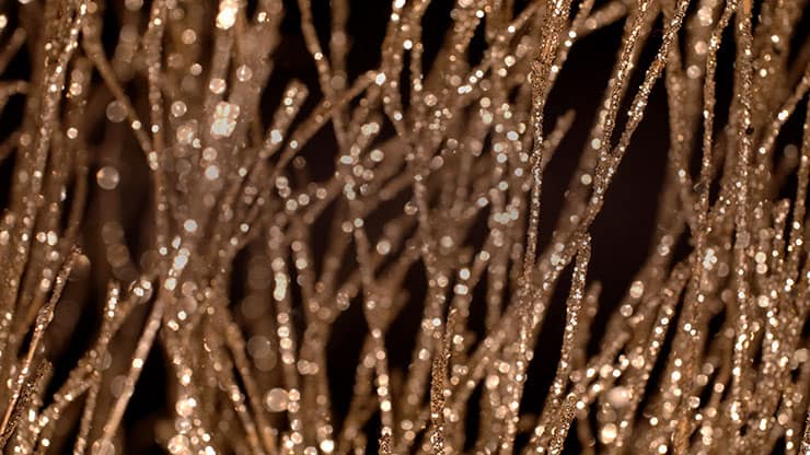 Christmas Gold 7 - Still