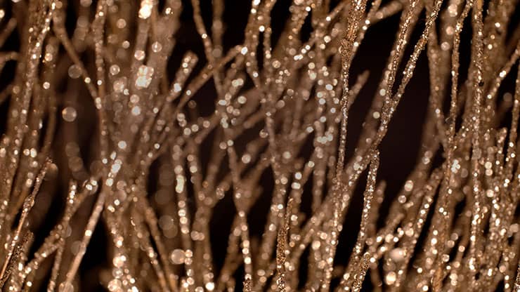Christmas Gold 7 - Motion