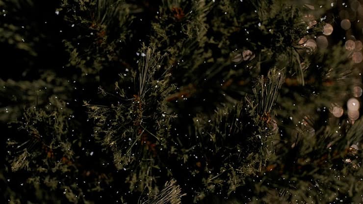 Christmas Tree: 10 - Still