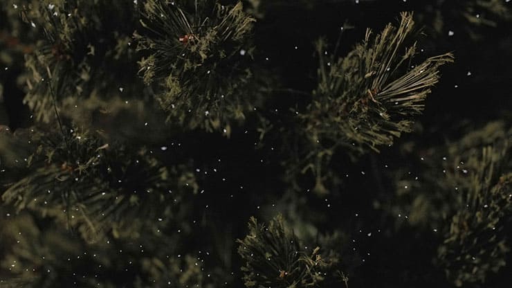 Christmas Tree: 3 - Motion