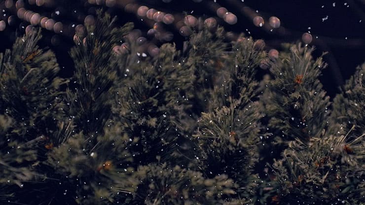 Christmas Tree: 4 - Still