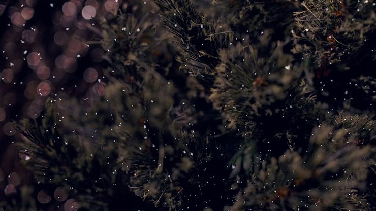 Christmas Tree: 5 - Motion