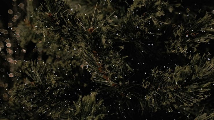Christmas Tree: 7 - Still