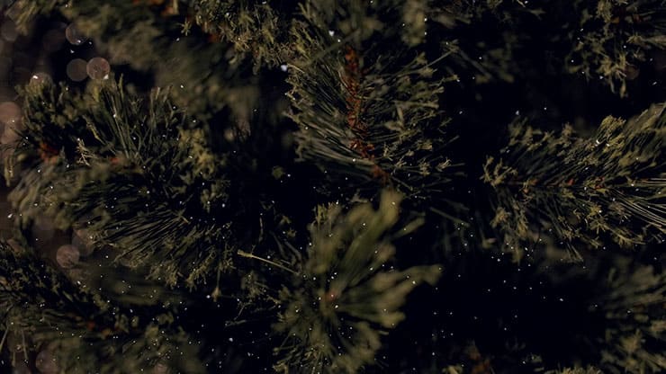 Christmas Tree: 8 - Still