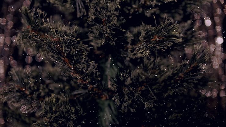 Christmas Tree: 9 - Still