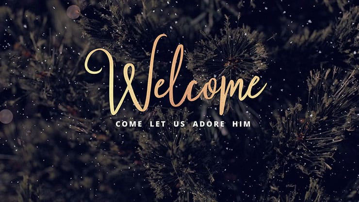 Christmas Tree: Welcome - Motion