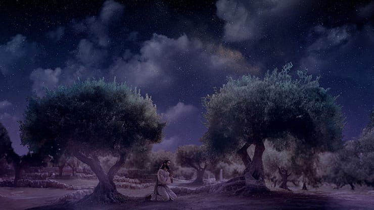 Easter Story: Garden of Gethsemane Prayer - Still