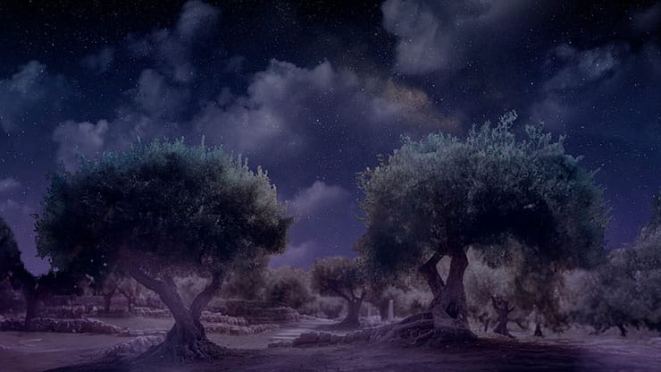 Easter Story: Garden of Gethsemane - Still