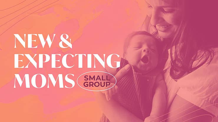 New Moms: Title Graphics