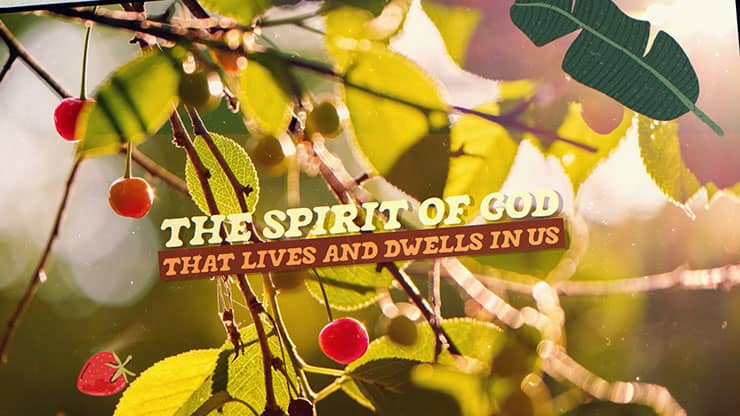 Fruit Of The Spirit Mini Movie