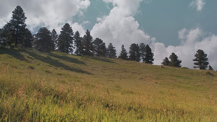 Flatirons Collection: Flatirons 16 Motion