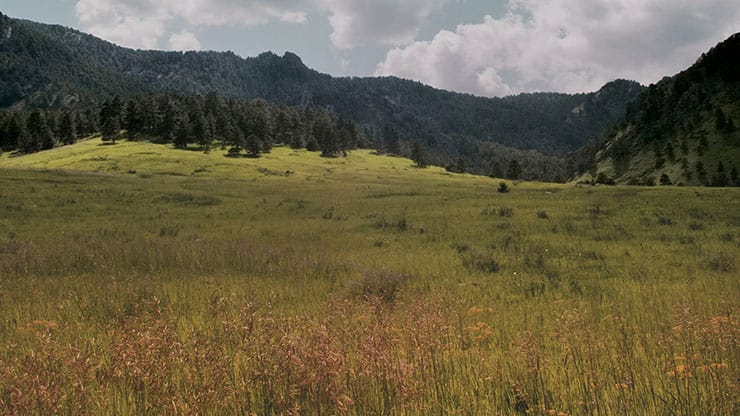 Flatirons Collection: Flatirons 17 Motion
