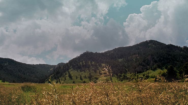 Flatirons Collection: Flatirons 18 Motion