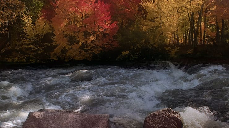 Northwest Fall Collection: Northwest Fall 11 Still