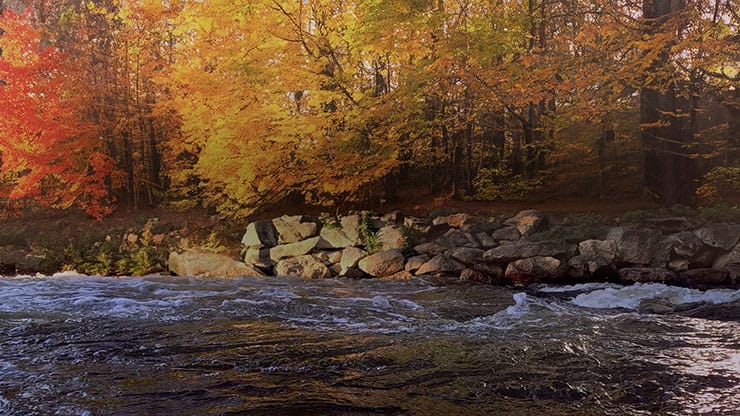 Northwest Fall Collection: Northwest Fall 14 Motion