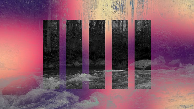 Northwest Fall Collection: Northwest Fall 3 Remix Motion
