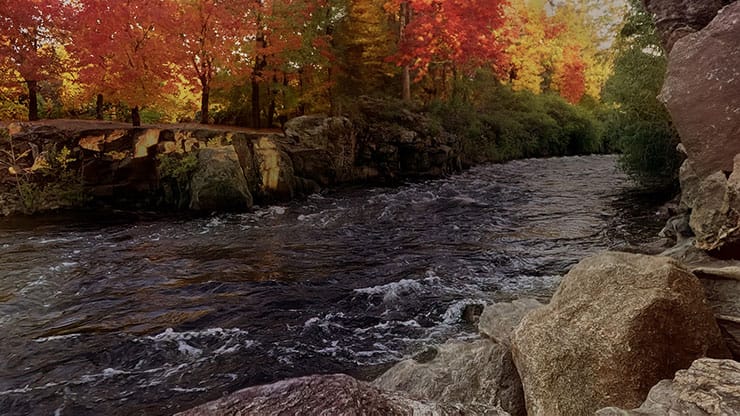 Northwest Fall Collection: Northwest Fall 4 Motion