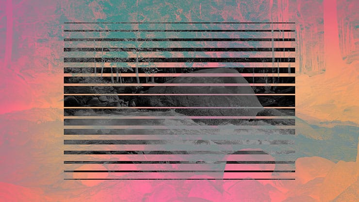 Northwest Fall Collection: Northwest Fall 7 Remix Motion