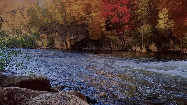 Northwest Fall Collection: Northwest Fall 9 Motion