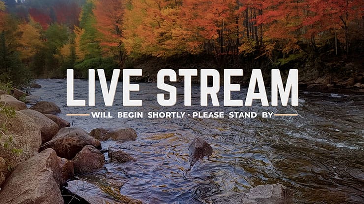 Northwest Fall Collection: Northwest Fall Live Stream Motion