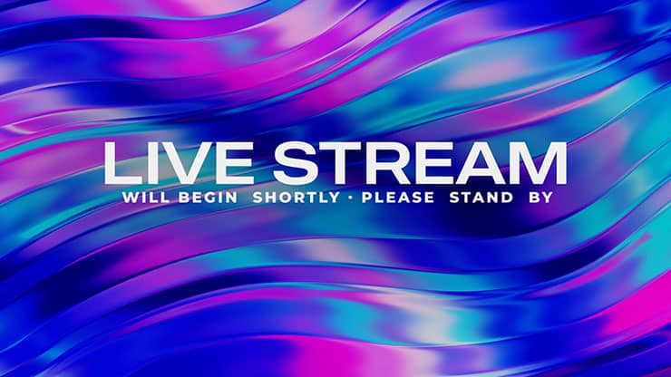 Vibrance Collection: Vibrance Live Stream