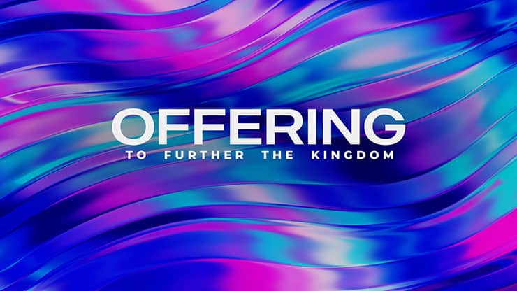 Vibrance Collection: Vibrance Offering