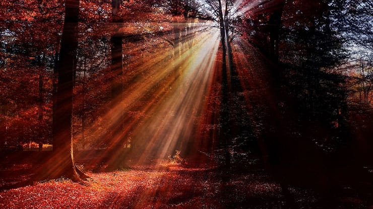 Autumn Light Collection: Autumn Light 14 Still