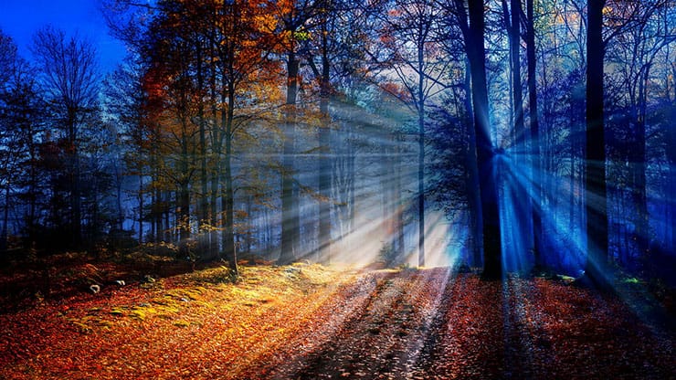 Autumn Light Collection: Autumn Light 17 Still